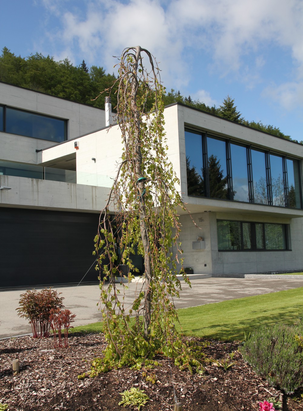 Villa-a-tramelan-51-1005-2